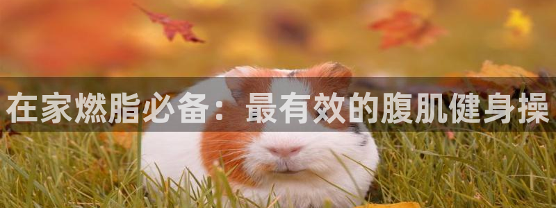 龙8国际正规吗