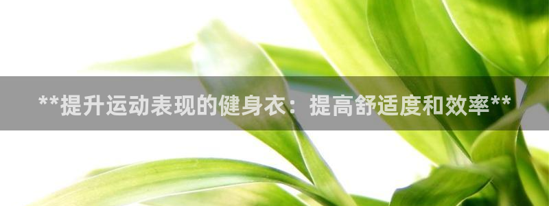 龙8国际头号玩家