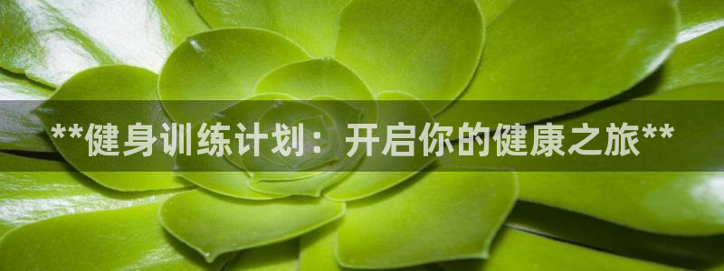 龙8国际pt网址