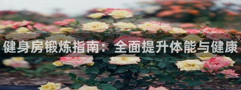 龙八国际官方网