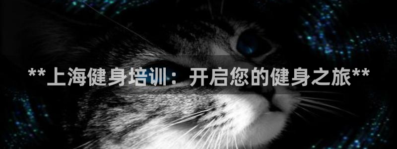 龙8国际平台