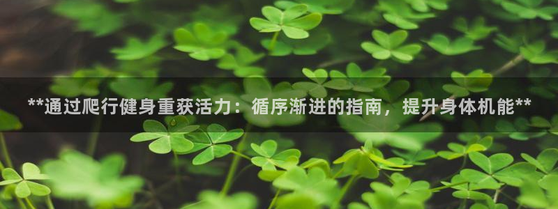 国际龙8官网pt客户端