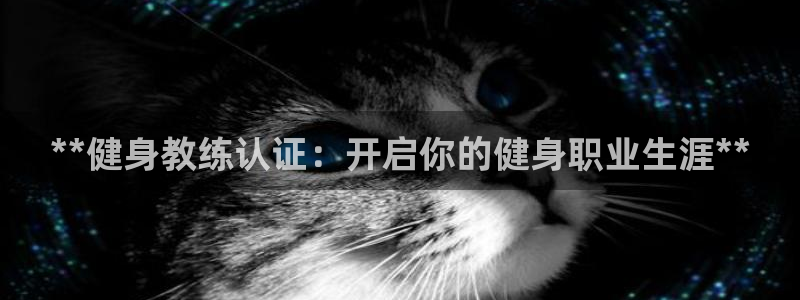 龙8国际pt官方网址