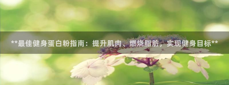 龙8国际是什么