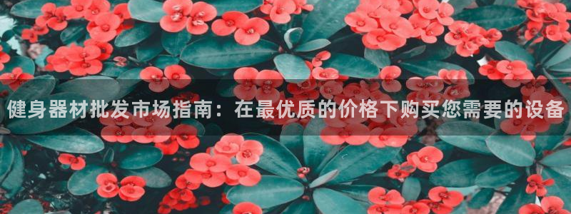 龙八国际app客户端下载