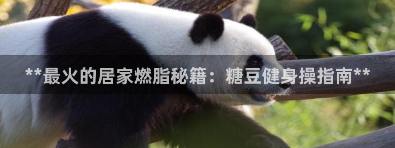 龙8国际官网 点此进入