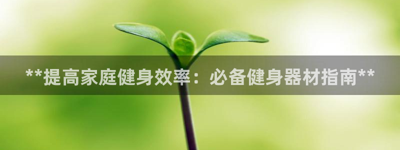 龙8国际游戏官网
