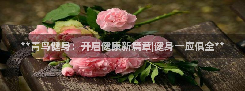 龙8国际app 下载