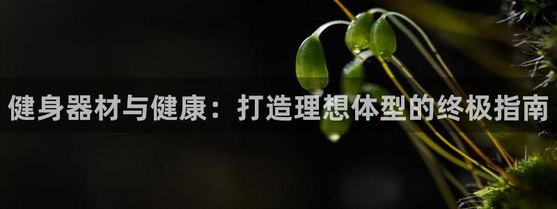 龙8-龙国际-long8-龙8游戏