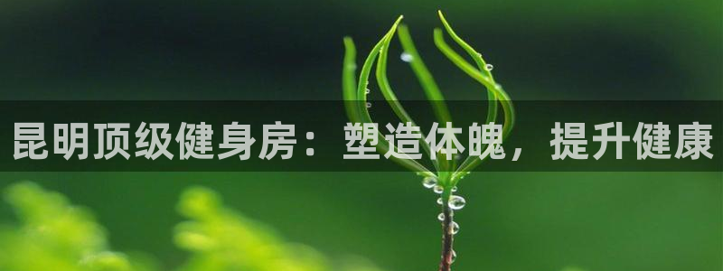 国际龙8官网pt客户端