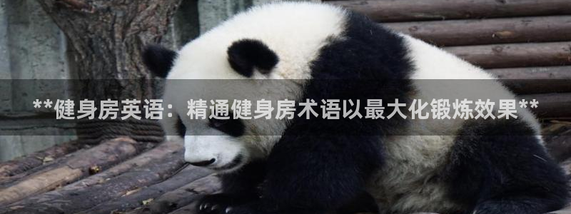 龙8国际pt网址