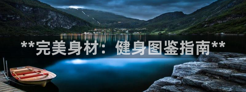 龙 八国际
