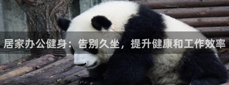 龙八棋牌