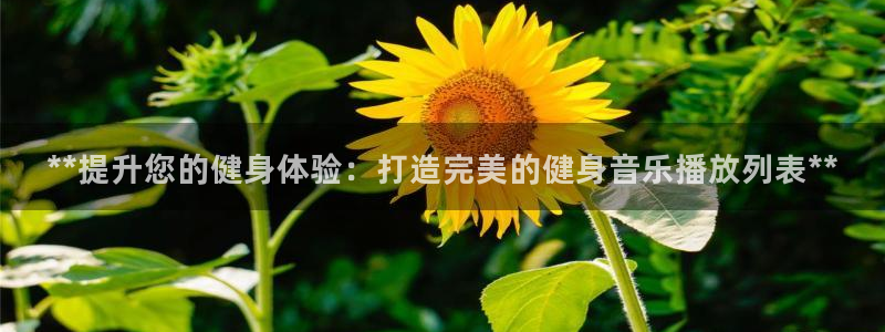 龙8国际手机登录|欢迎您的到来!