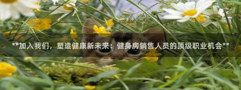 龙8国际在线