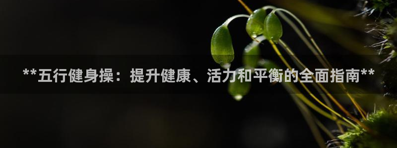龙8国际long8官方版下载
