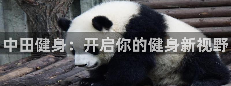 龙8国际官网 - 点此进入