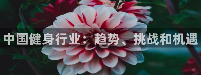 龙8官网游戏
