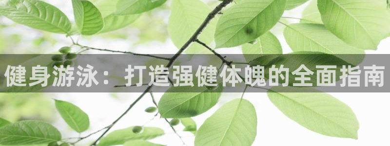 龙8国际手机游戏官网版