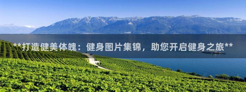 龙8国际安卓版
