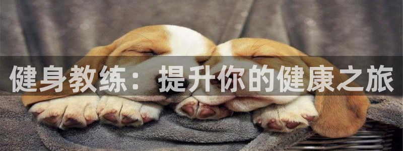 龙8电子游戏_首页