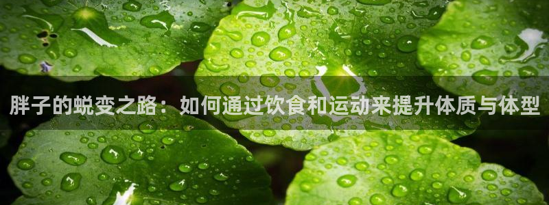 龙8国际安卓官方版fxzls-1.2.1 -安卓