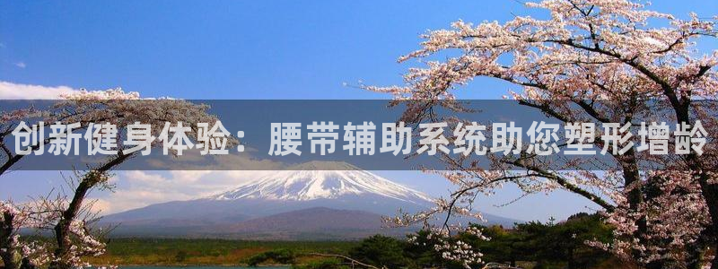 龙8电子游艺网址多少