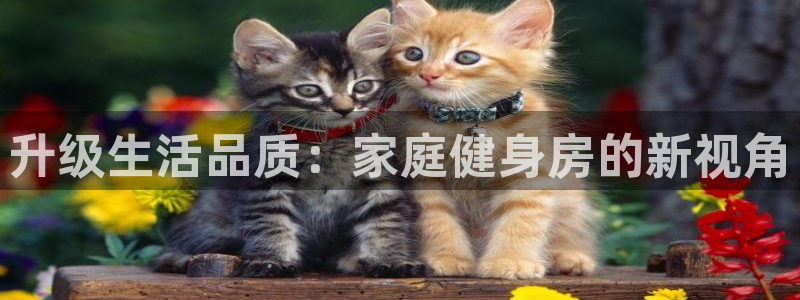 龙8国际官方网站手机版