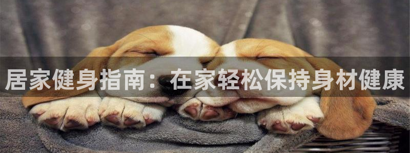 龙8电子游戏_首页