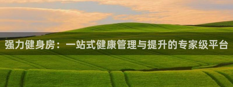 龙八国际官方网站app登录