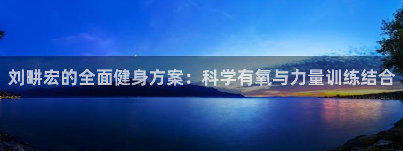 龙8app 国际
