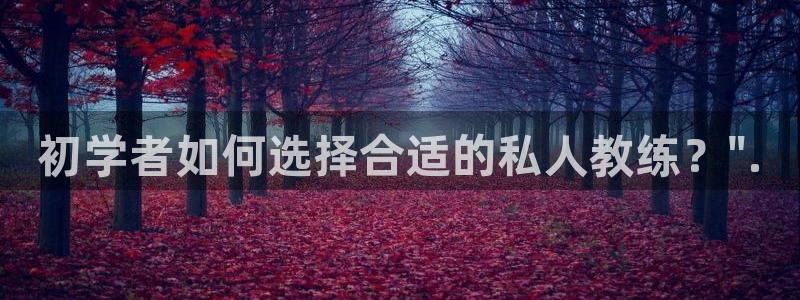龙八国际pt
