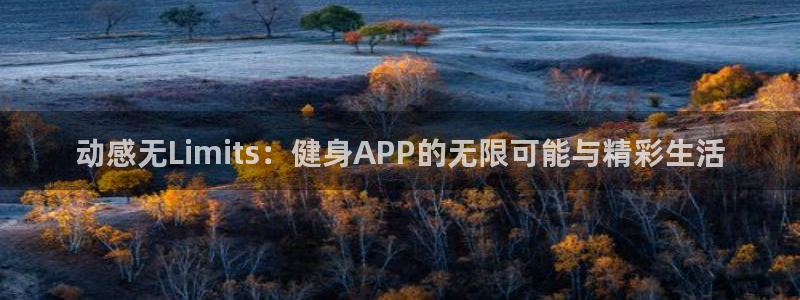 龙8国际登录口