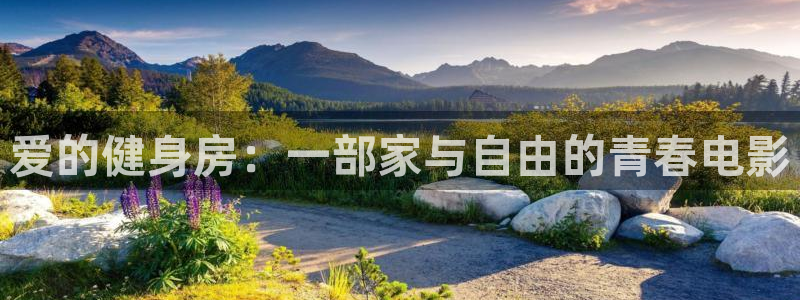 龙8国际app下载