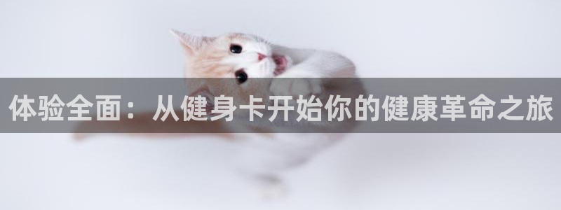 龙8国际游戏娱乐