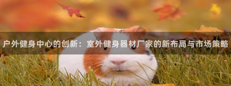 龙8游戏国际登录