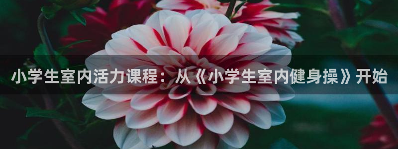 龙8国际官网首页