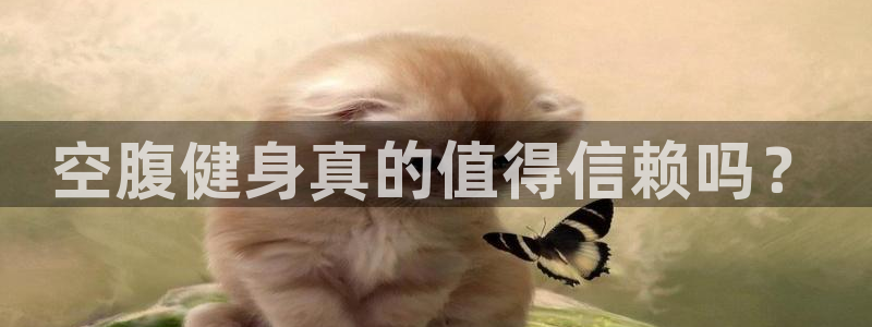 龙8国际app 下载