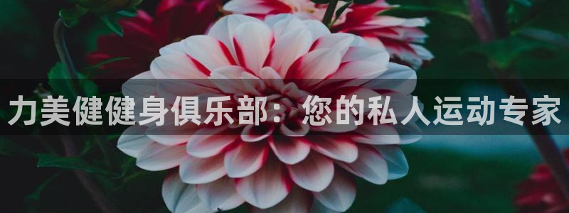 龙8国际3.0