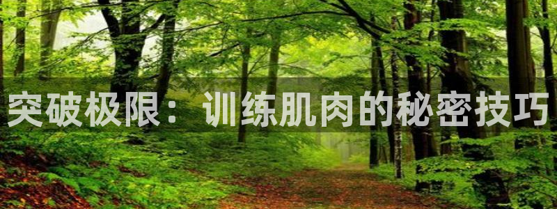 龙8国际平台
