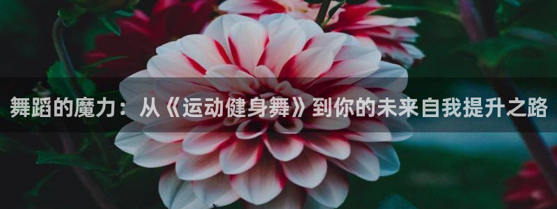 龙8国际城