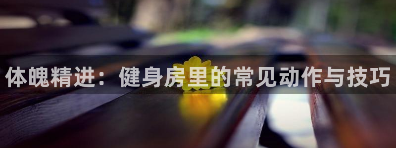 龙8国际为啥改名叫头号玩家了