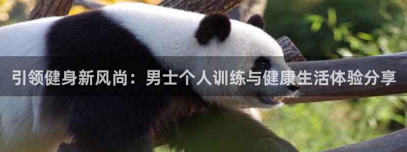 龙8国际网站怎么样