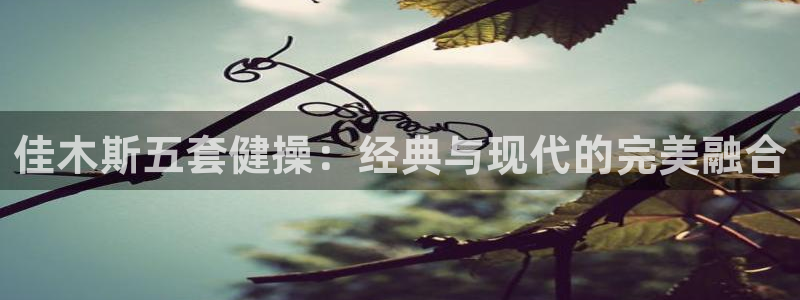 龙8国际提现