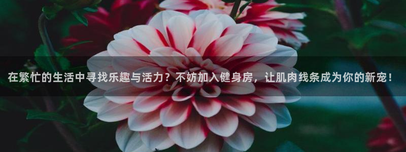 龙8国际游戏娱乐