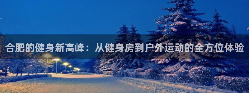 龙八国际pt