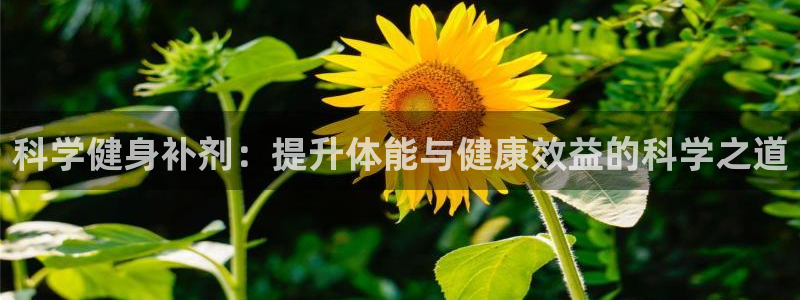 龙八国际app客户端下载