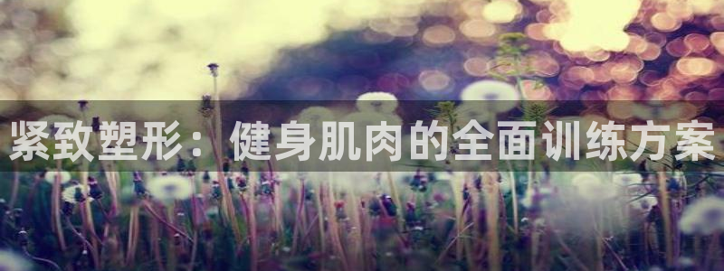 龙八国际娱乐官方网站
