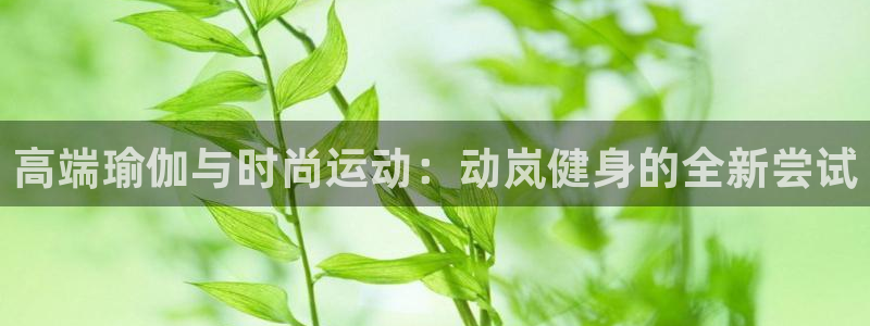 龙8国际手机游戏官网版