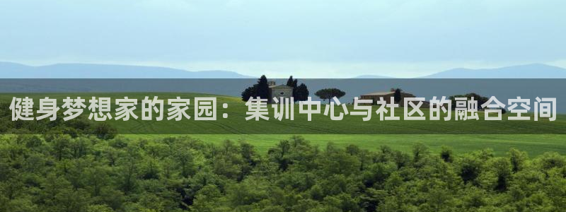 龙八国际pt
